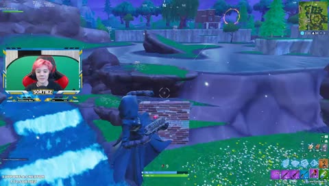 Viewer Snipes | PC | !games | !support | !about | !hair | !epic |