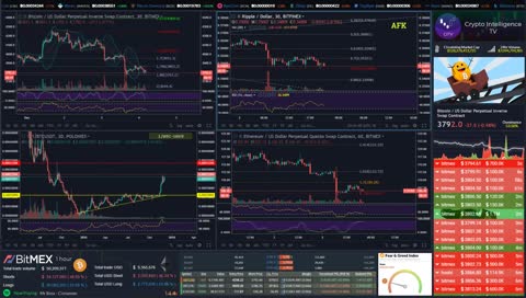 Ludicrous Crypto Trading & TA 24/7 *Bears May Win The Battle But They Have Already Lost The War*