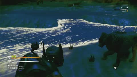 [Permadeath] Does this ship have costers? - !games !social !poe