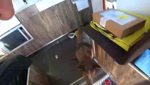 IRL budget fanny. pack streaming 