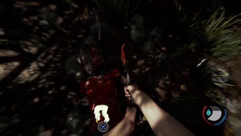 The forest