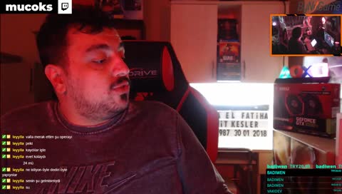 "adore kedi evi geldi!" (gece yarısı yapıyoruz!)