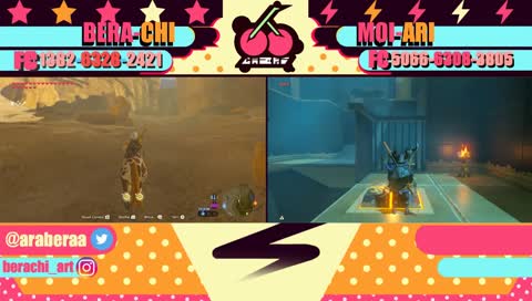 BOTW SplitScreen~