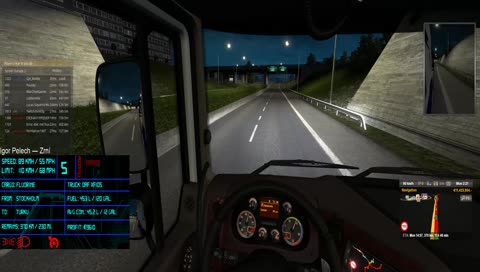 ETS2 Beyond the Baltic Sea | Chill stream (less talking, more driving)