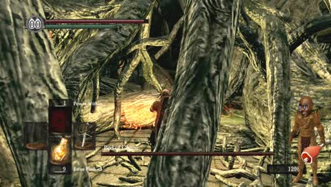 [PS3]Dark Souls - First playthrough - Post Demon Souls no idea what i'm doing - Lord vessel?