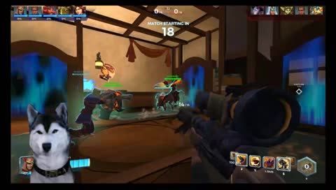 A dog playing ranked Paladins