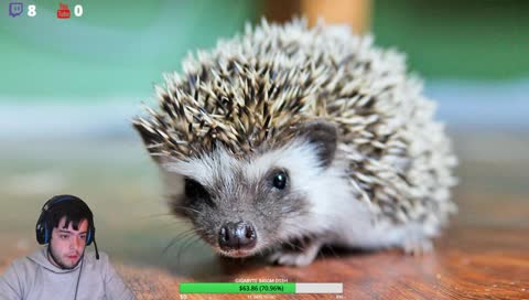 [URU/ARG] [ESP] ❄FORTNITE TRATANDO DE SUBIR DE LEVEL❄  #TwitchUruguay