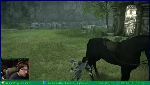 [!bday | TLH's Birthday Week] Birthday Stream! Shadow of the Colossus Remastered