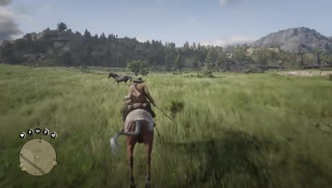 RDR2 fun for all