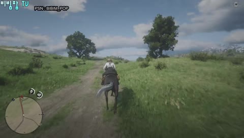 [레드 데드 온라인] 달리는놈, 총쏘는놈, 요상한놈 랭크업을 합시다.