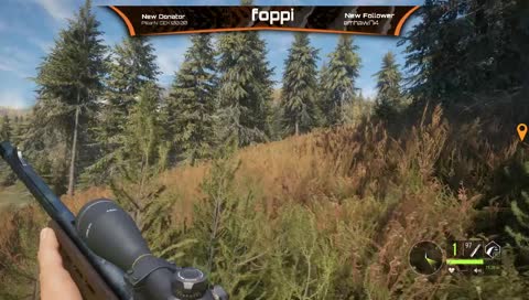 [SWE/ENG] Doing some Hunting