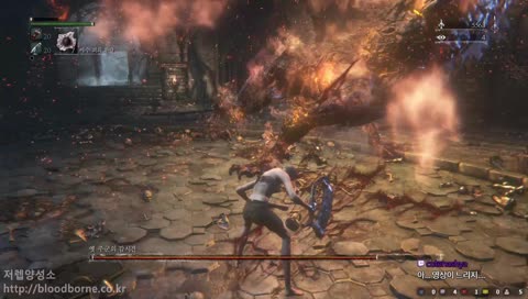 블러드본(BloodBorne) 모독 감시견 노강 트라이