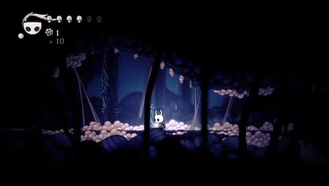 Hollow Knight 
