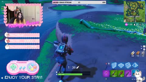 **IRISH** ๐ !!FORTNITE!! ๐ { fun new dono goal :3 }