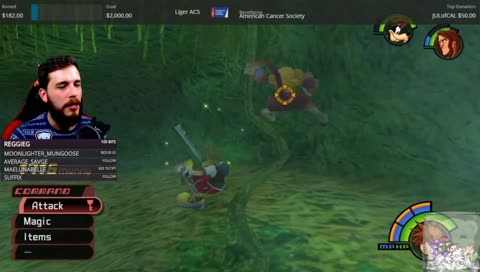 American Cancer Society !charity & Kingdom Hearts 1.5 Proud Mode! Reliving that childhood [part 2] 🧡 | !discord