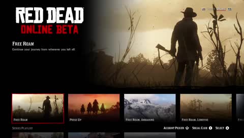 Red Dead Online having fun