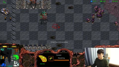 [깝도이] 스타 빨무 팀플 실시간