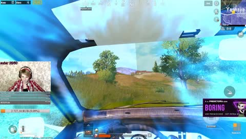 Киса в деле! 