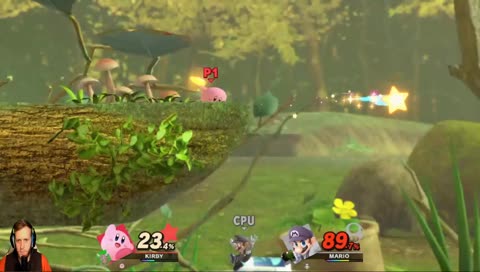 First time at Smash, WoL, then mulitplayer. Help me choose who to play, and what game modes I should try out.