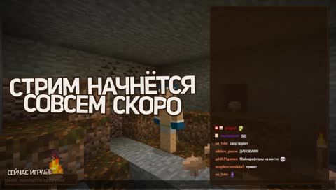 Нашёл немного волос (приватный ванильный Minecraft-сервер Sozidarium, 1.13.1)