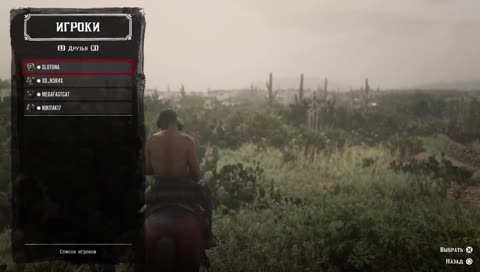 RDR 2