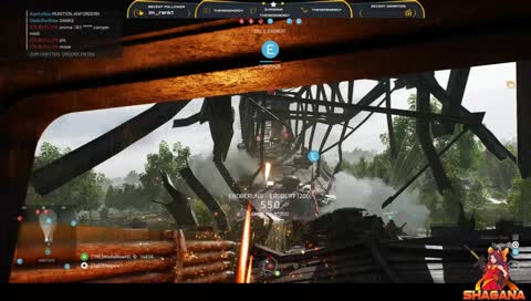 Tiger haben auch  gefühle