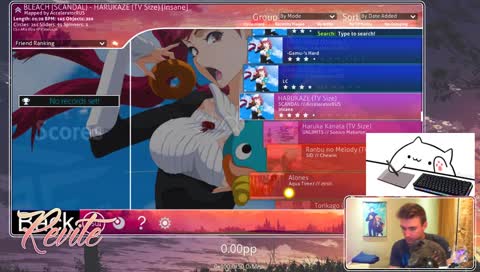 Osu! W Cat