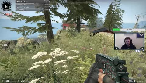 [DE/ENG] BATTLE ROYAL HYPE!!!!!!!!