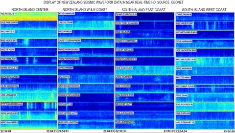 Tom Wilson Live Stream