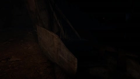 Outlast 2