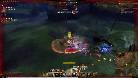 Quality content || holo WVW
