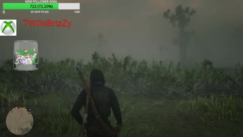 (XBOX1) RDR2 online beta