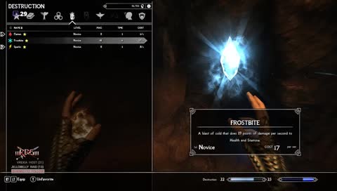 [PCHighlyModded] The Elegant Enchanter Chapter: I (Blind Destruction Mage Play)