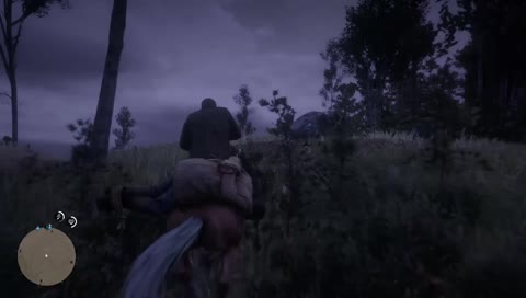 damn pinkertons