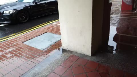 [Singapore] Good Old Days - Discovering the Peranakan Culture