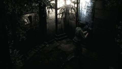 Enter the "Survival Horror"