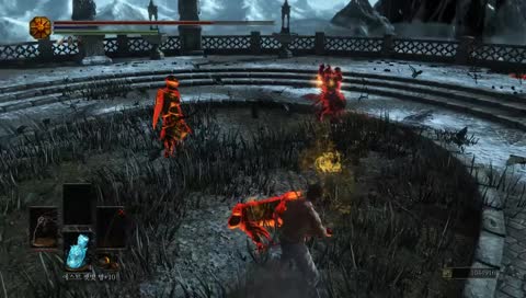 도마뱀 : 개못핵