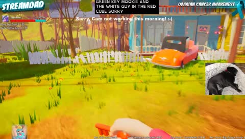 [CC] PC Hello Neighbor ! !caption !hat