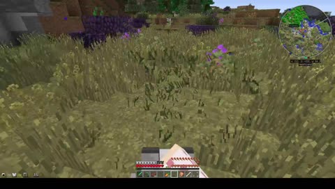 Пазеры стримят