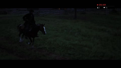 ON LINE! RDR2: Soirée dans l'ouest