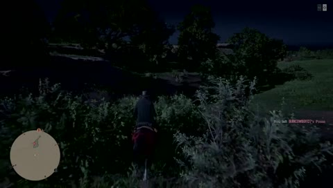 Red Dead Online gameplay 