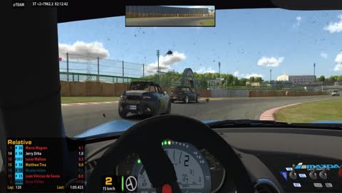 Possibly some iRacing