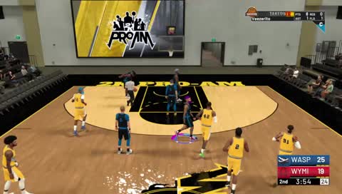 Veezerito's Live PS4 Broadcast