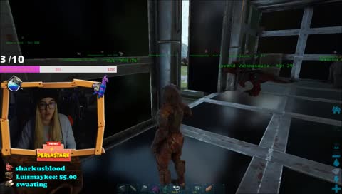 ┌( ಠ_ಠ)┘ /̵͇̿̿/’̿̿ ̿ ̿ ̿ ̿    ARKIANDO POR UN AMOR!