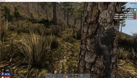 seven deis tu dai :v