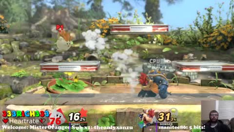 Unlocking SMASH 5 Characters