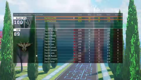 playing bots on splitscrean