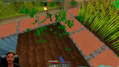 Map Solo Spéciale Twitch