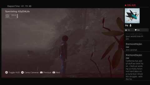 Bugs, glitches and whatever else.
