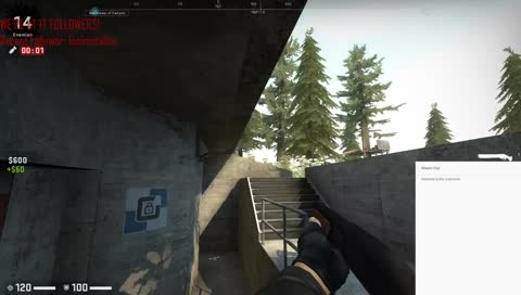 CSGO BATTLE ROYALE??